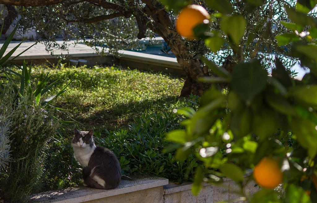 Apartments Ana Baška Voda Kültér fotó